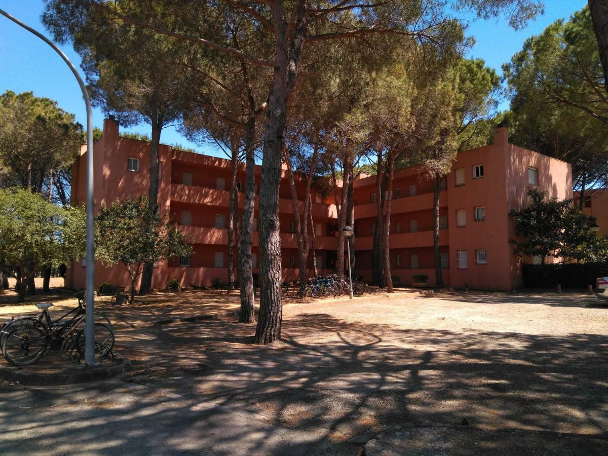 Bonito Apartamento, Con Piscina, Excelente Wifi Y Aire Acondicionado Pals Extérieur photo